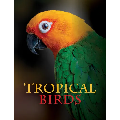 Tropical Birds
