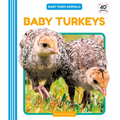 Baby Turkeys