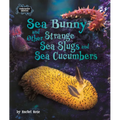 Sea Bunny and Other Strange Sea Slugs and Sea Cucumbers