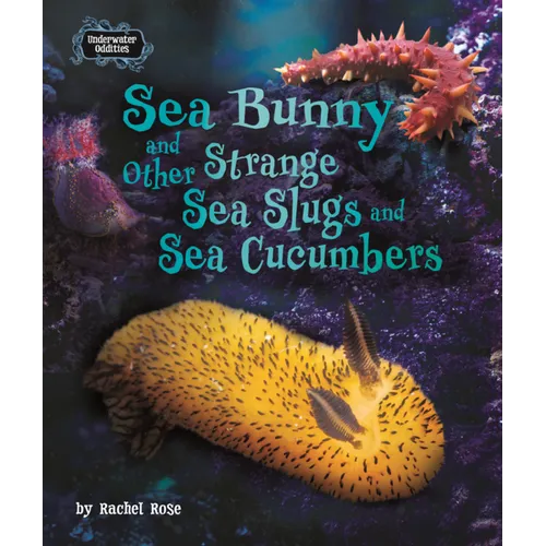 Sea Bunny and Other Strange Sea Slugs and Sea Cucumbers