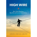 High Wire: How China Regulates Big Tech and Governs Its Economy