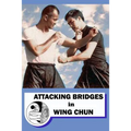 Attacking bridges in Wing Chun