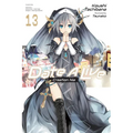 Date a Live, Vol. 13 (Light Novel)