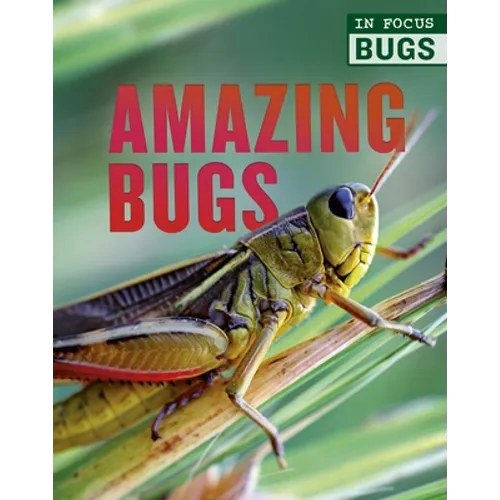 Amazing Bugs