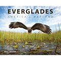 Everglades: America's Wetland