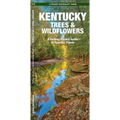 Kentucky Trees & Wildflowers: A Folding Pocket Guide to Familiar Plants