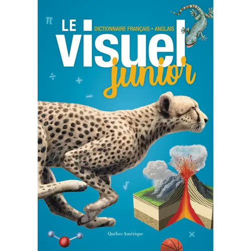 Le Visuel Junior: Dictionnaire Français - Anglais
