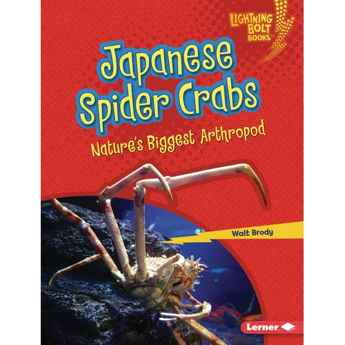 Japanese Spider Crabs: Nature's Biggest Arthropod