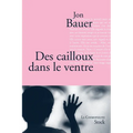Des cailloux dans le ventre