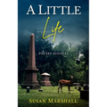 A Little Life