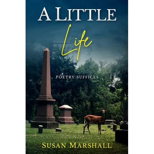 A Little Life