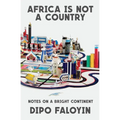 Africa Is Not a Country: Notes on a Bright Continent