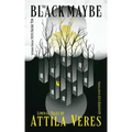 The Black Maybe: Liminal Tales