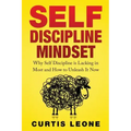 Self Discipline Mindset: Why Self Discipline Is Lacking In Most And How To Unleash It Now
