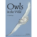 Owls in the Wild: A Visual Essay