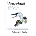 Waterfowl of North America, Europe, and Asia: An Identification Guide