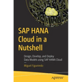 SAP Hana Cloud in a Nutshell: Design, Develop, and Deploy Data Models Using SAP Hana Cloud