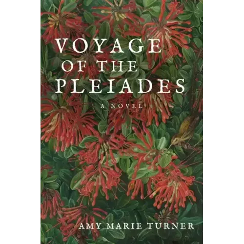 Voyage of the Pleiades