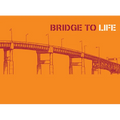 Bridge to Life (Orange) 25-Pack