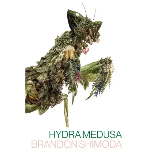 Hydra Medusa