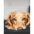 101 Ways To Help Your Heart Heal After Pet Loss