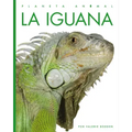 La Iguana