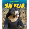 Sun Bear