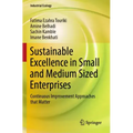 Sustainable Excellence in Small and Medium Sized Enterprises: Continuous Improvement Approaches That Matter
