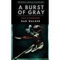 A Burst of Gray: A Novel in 100-Word Stories