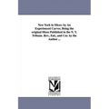 New York in Slices: by An Experienced Carver, Being the original Slices Published in the N. Y. Tribune. Rev., Enl., and Cor. by the Author ...