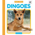 Dingoes