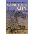 Seeing Like a City