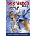 Danger at Snow Hill