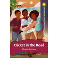 Cricket in the Road