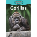 Gorillas