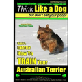Australian Terrier, Australian Terrier Training, AAA AKC Think Like a Dog But Don't Eat Your Poop! Australian Terrier Breed Expert Training: Here's EX