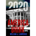 2020: America on the Brink-A Novel