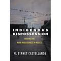 Indigenous Dispossession: Housing and Maya Indebtedness in Mexico