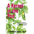 A Kernel in the Pod