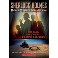 The Fall of the Amazing Zalindas (Sherlock Holmes and the Baker Street Irregulars #1)