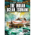 The Indian Ocean Tsunami