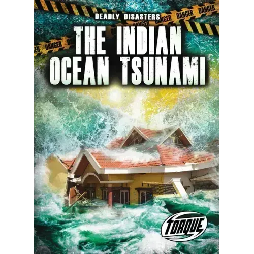 The Indian Ocean Tsunami
