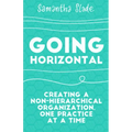 Going Horizontal: Creating a Non-Hierarchical Organization, One Practice at a Time