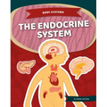 Endocrine System