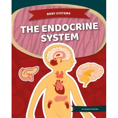 Endocrine System