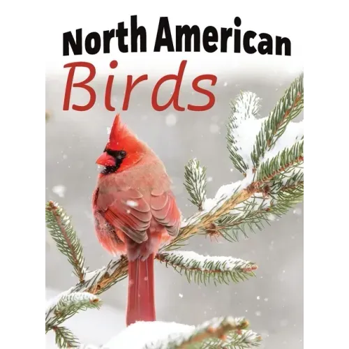 North American Birds