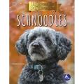 Schnoodles
