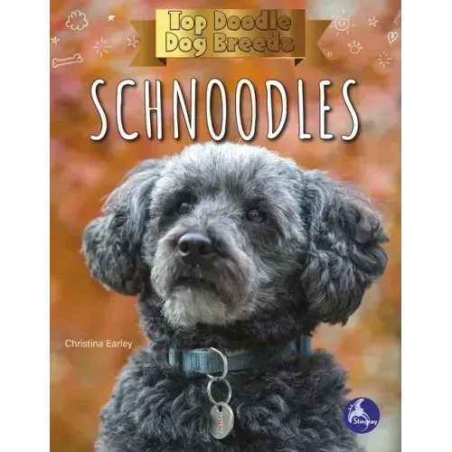 Schnoodles
