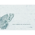 Wide Slumber for Lepidopterists