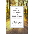 The Silent Shades of Sorrow: Healing for the Wounded